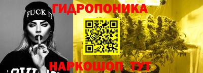 МДПВ Лесосибирск