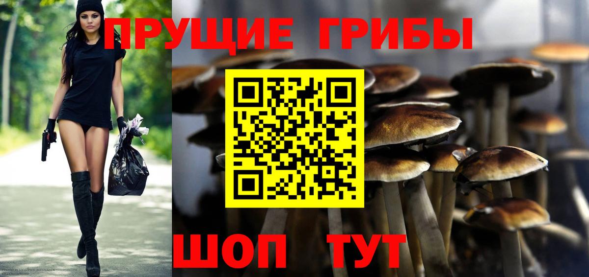 Галлюциногенные грибы Magic Shrooms Сердобск