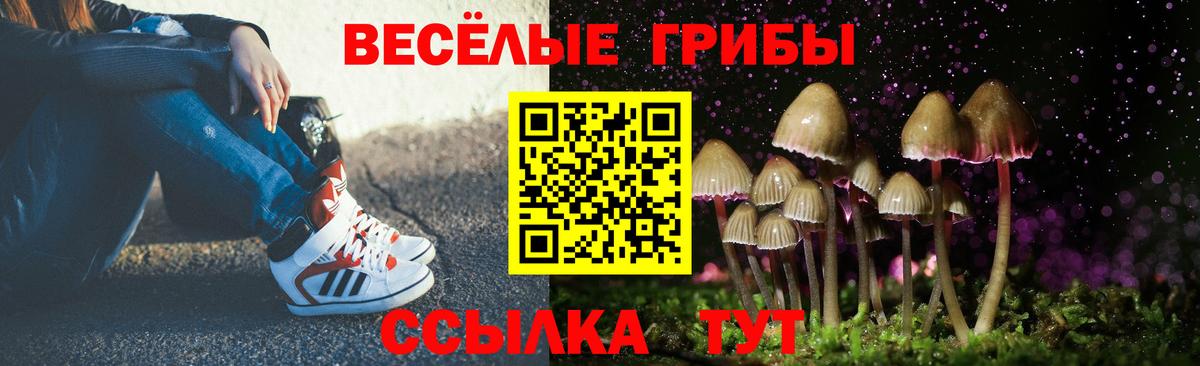 Псилоцибиновые грибы мицелий  Галлюциногенные грибы Cubensis  Сердобск  Вход с VPN 